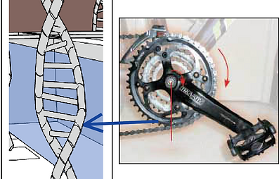 螢幕擷取畫面 2024-06-06 002218.png