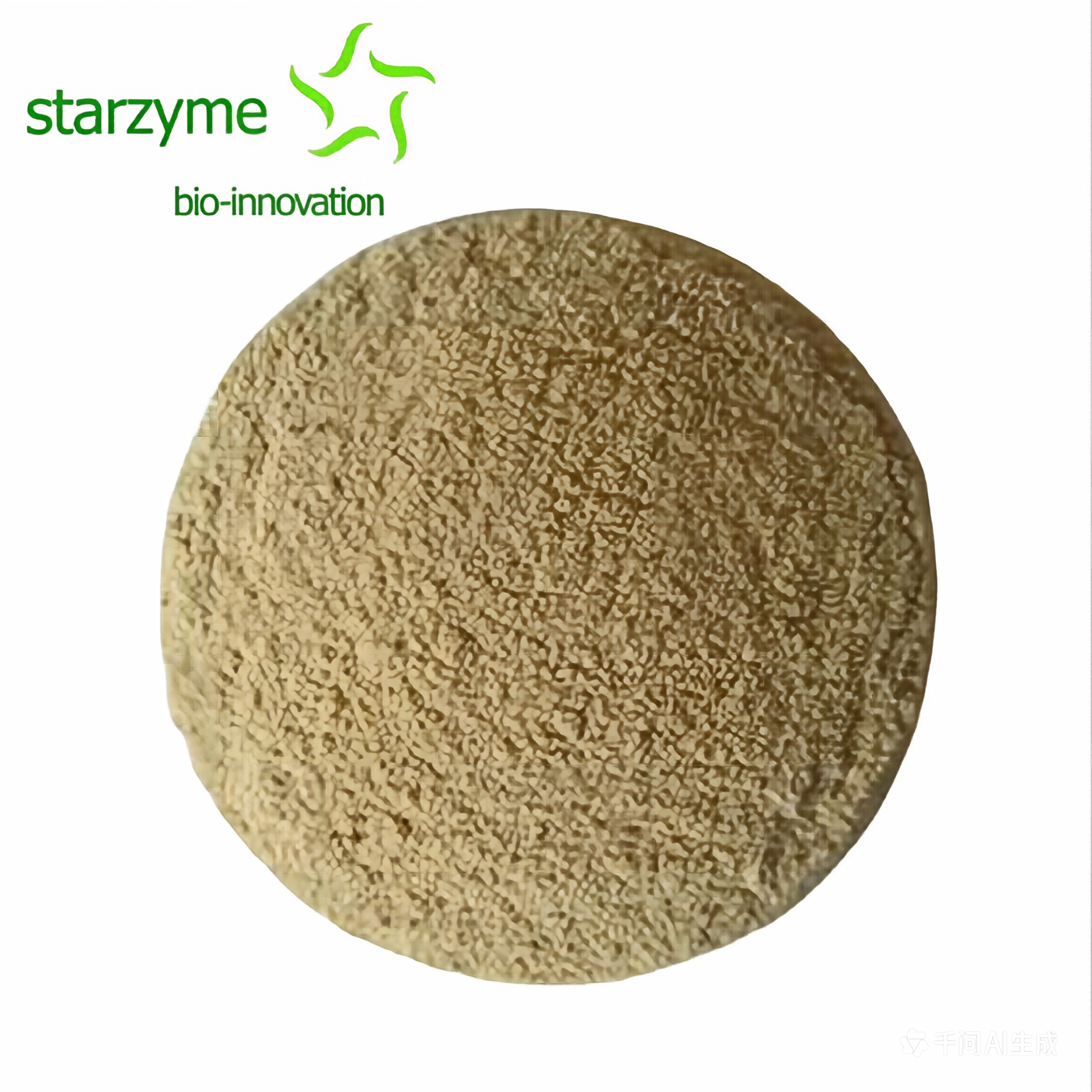 Bacillus Subtilis
