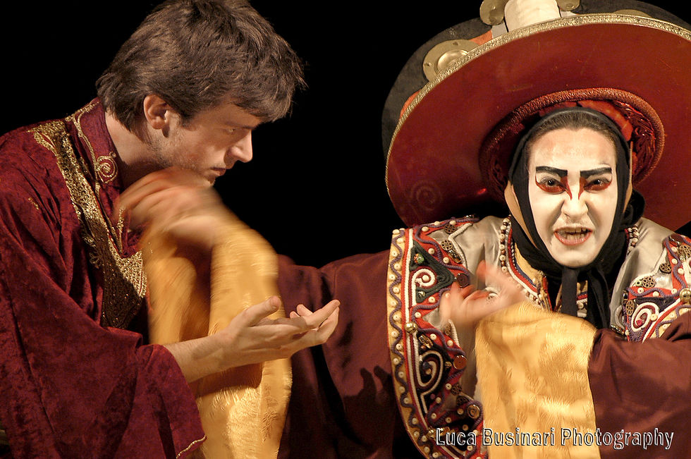 lucabusinaricopyright teatro (12).jpg
