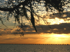 Personal Training in Mandeville, LA - Your Path to Fitness Success