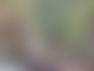 Matthew 6:10 Your kingdom come, your will be done, on earth as it is in heaven.