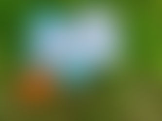 Bring Hope & Encouragement