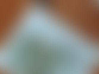 We need your financial support!