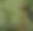 Designer_edited.jpg