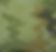 Designer_edited.jpg