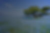 AdobeStock_599580770.jpg