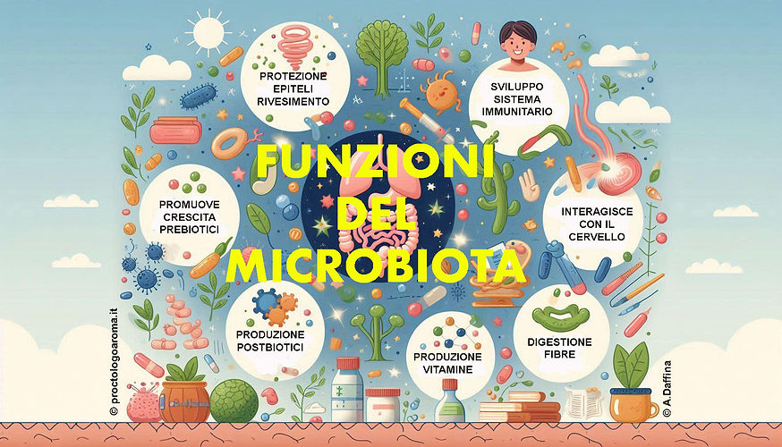 Infografica sulle principali funzioni del microbiota intestinale e i suoi rapporti con il nostro organismo.