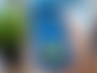 eSIM-only phones guide for wireless dealers showing eSIM technology, activation process, and dealer considerations for modern smartphones