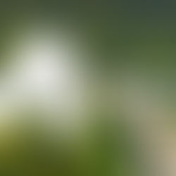 MVNO failure warning signs infographic showing customer service decline payment delays executive turnover