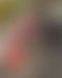 TRÊS RIOS: PM recupera motocicleta e prende jovem de 20 anos no bairro Cantagalo.