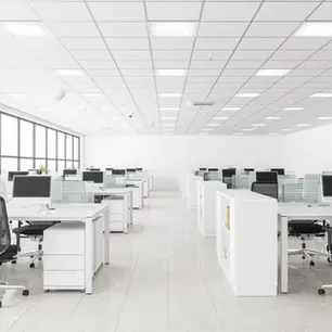 white grid ceiling in an office