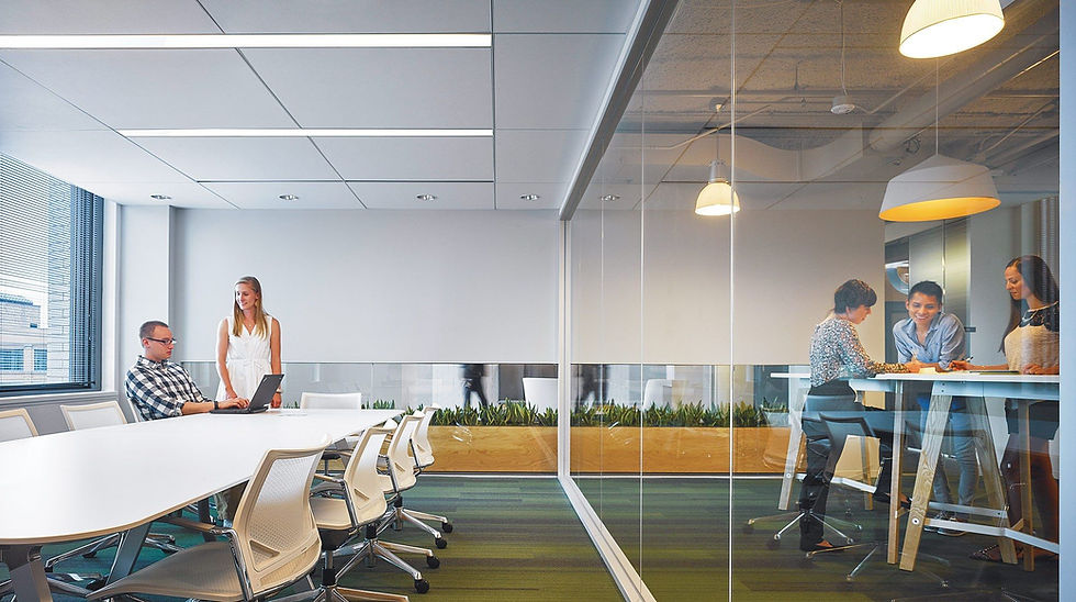 suspended ceiling system in a modern commercial office environment.