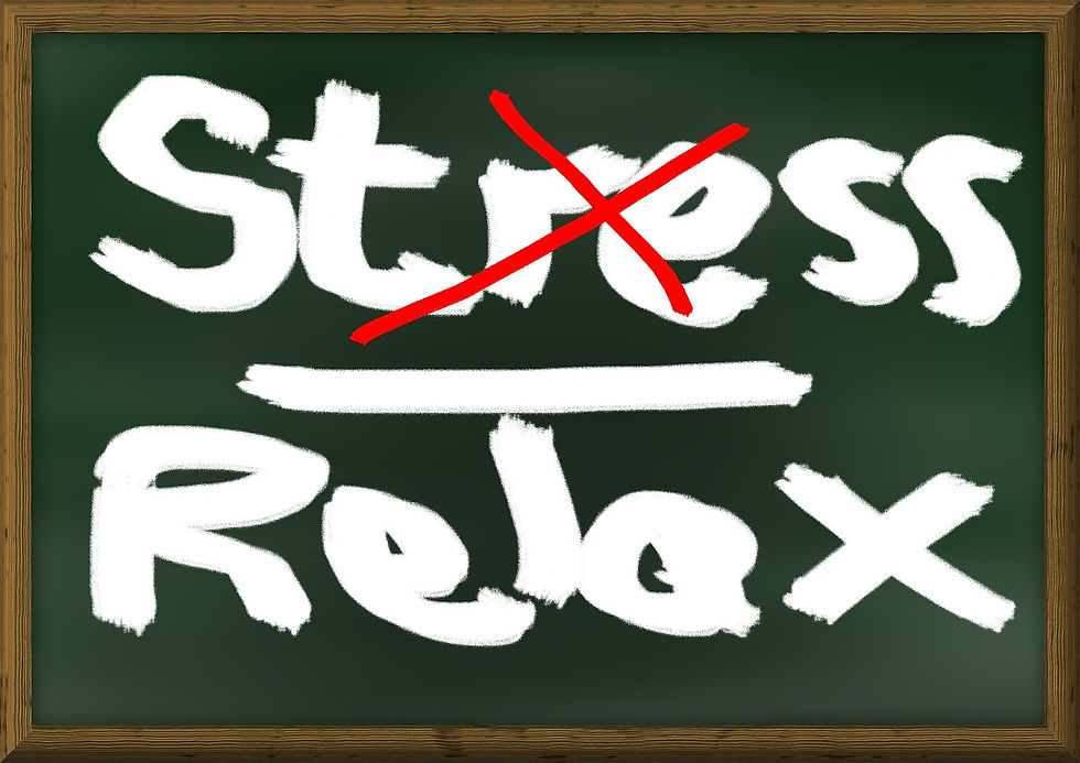 stress-391659_1280.jpg