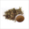 Jatamansi Extract