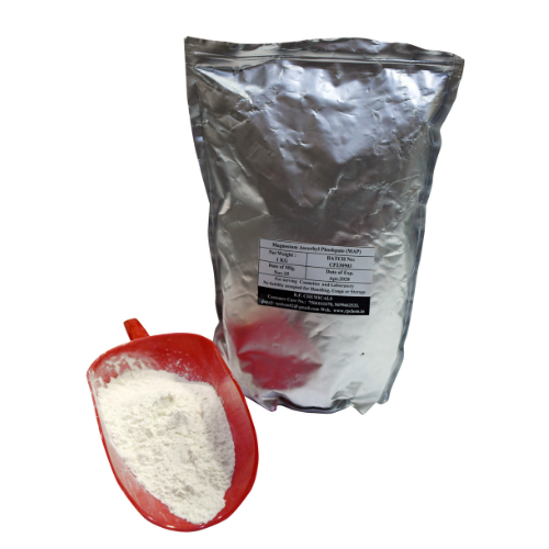 Magnesium Ascorbyl Phoshpate (MAP)