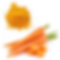 MDH Carrot Powder