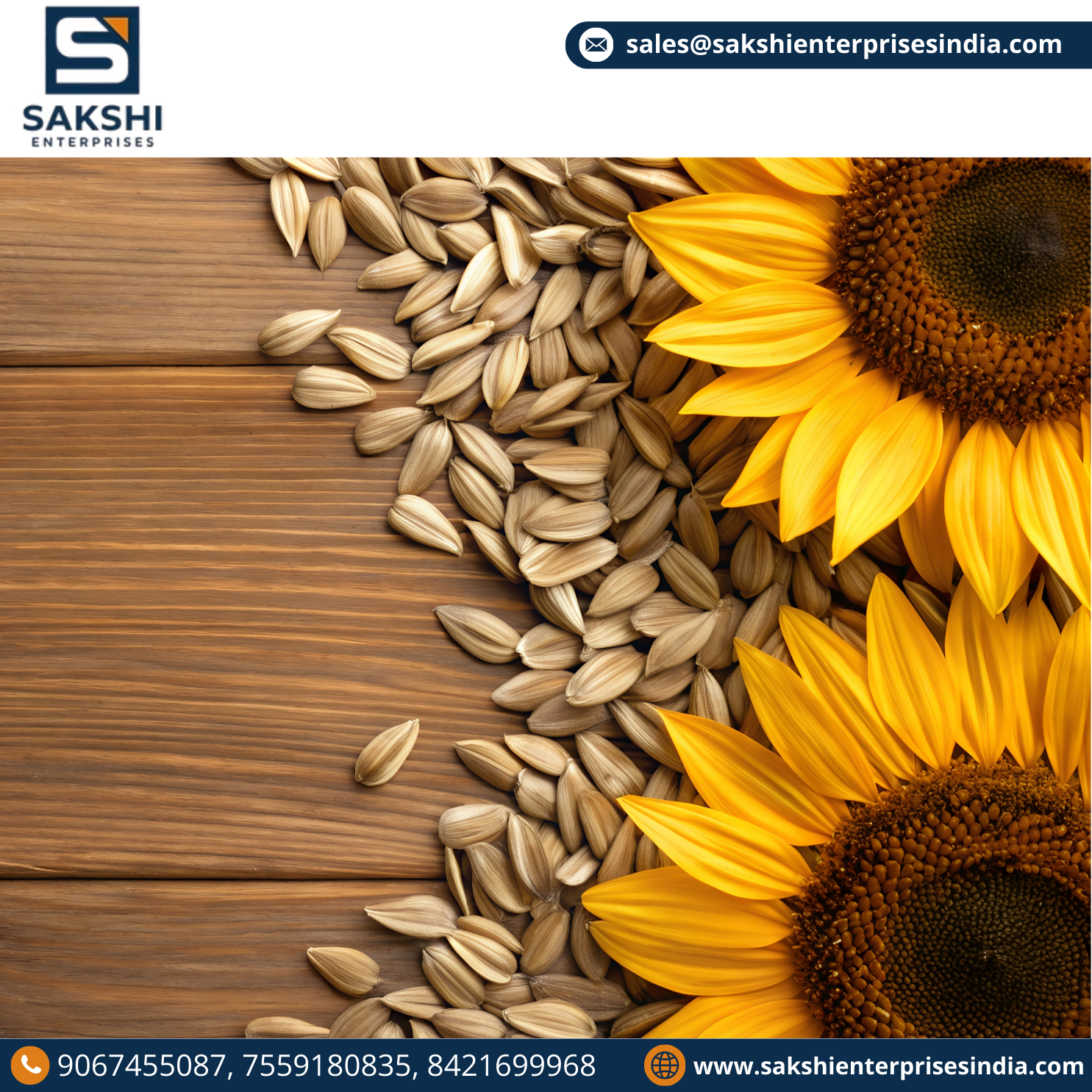 Roasted Salted Sunflower Seeds