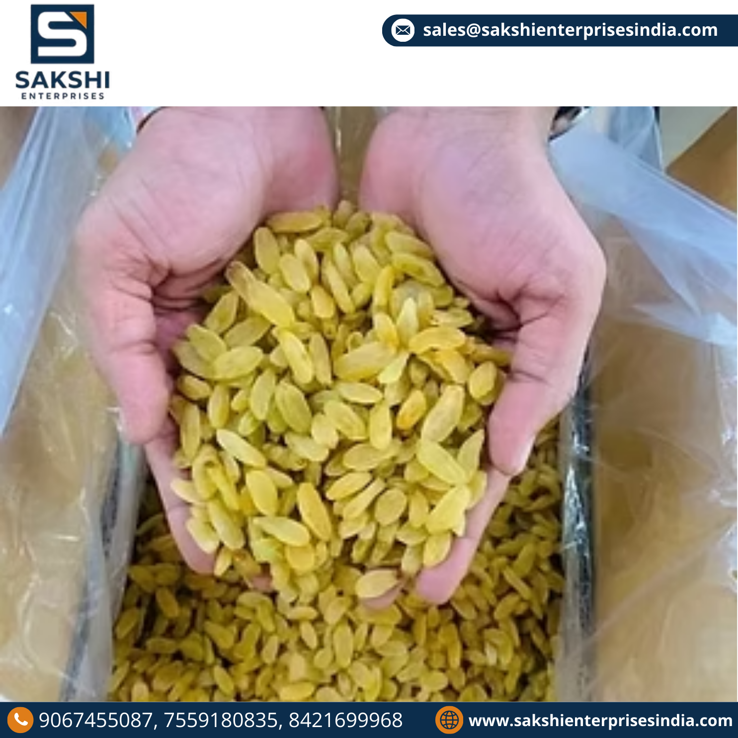 Raisin Long (Sangli)