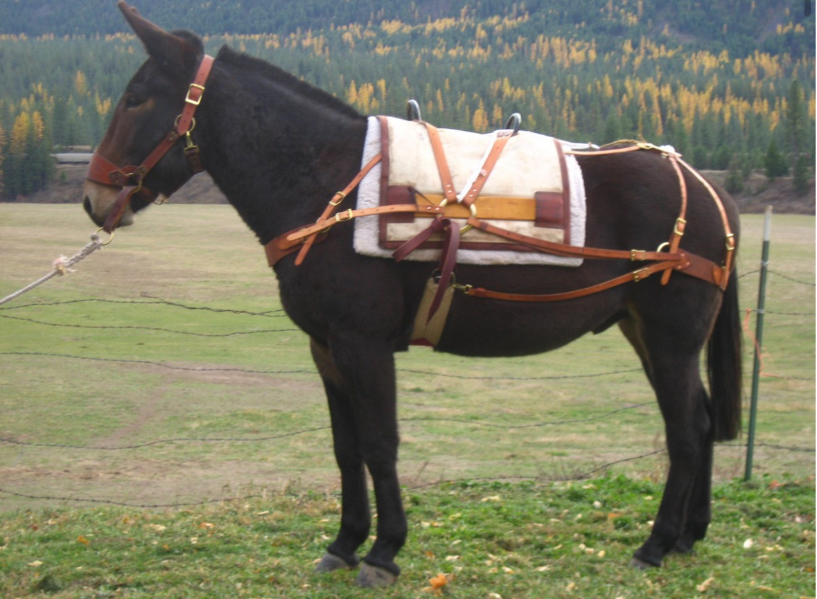 decker pack saddle