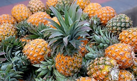 Pineapples