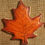 Thumbnail: Maple Leaf
