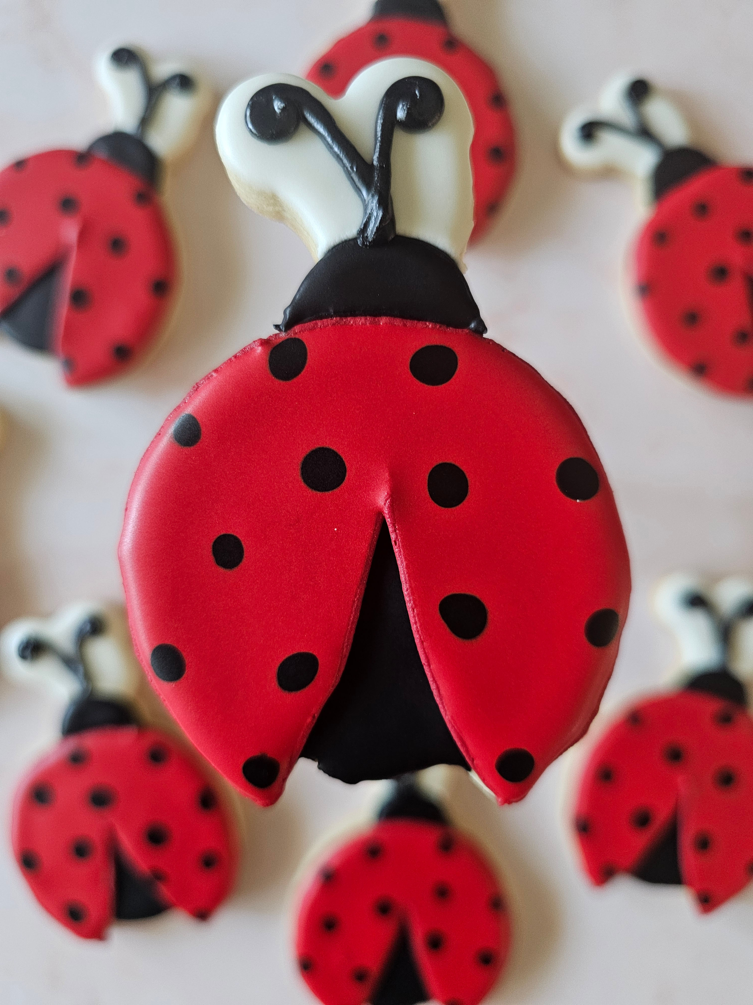 Lady Bug