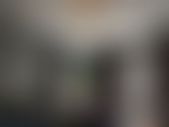 Modern Ceiling LED Lamp