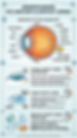 Eye anatomy and contact lenses explained