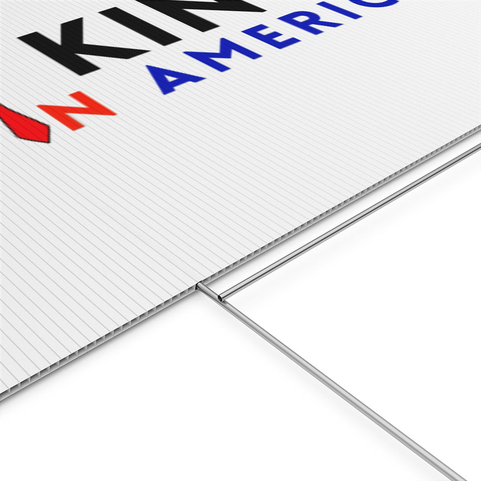 Thumbnail: no kings in america protest sign vertical layout