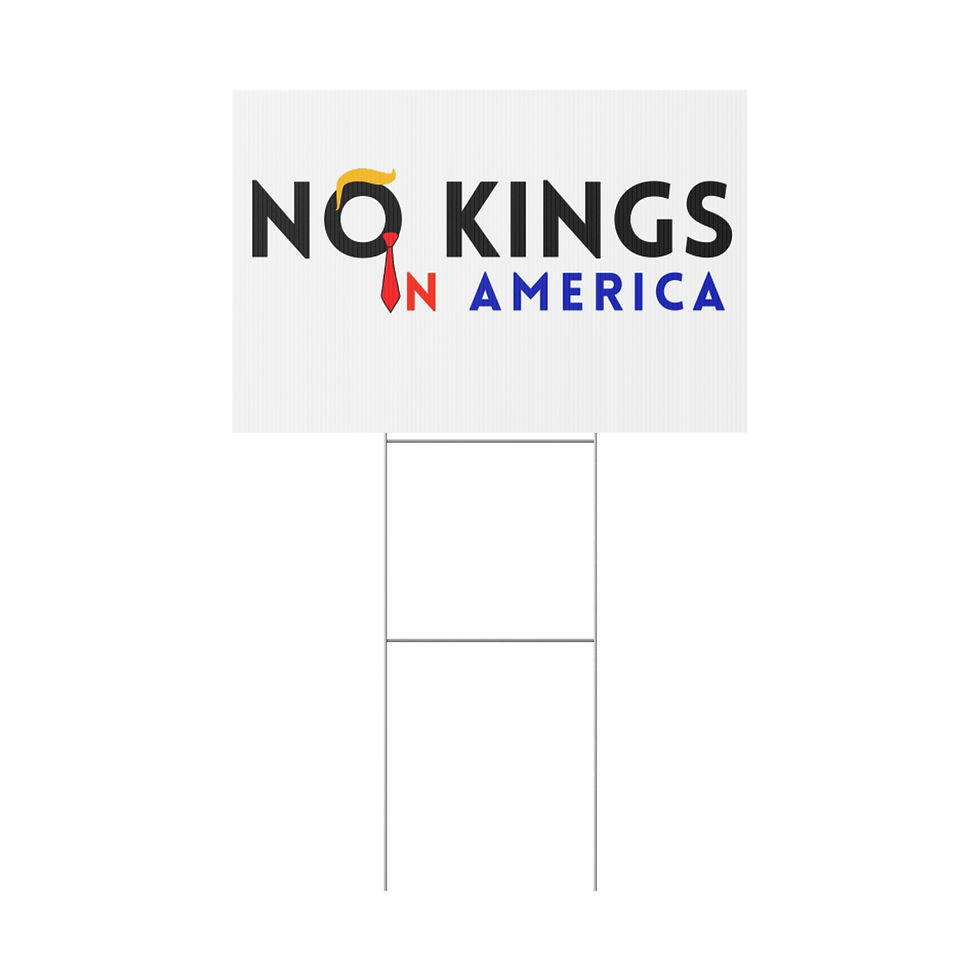 Thumbnail: no kings in america protest sign bold lettering