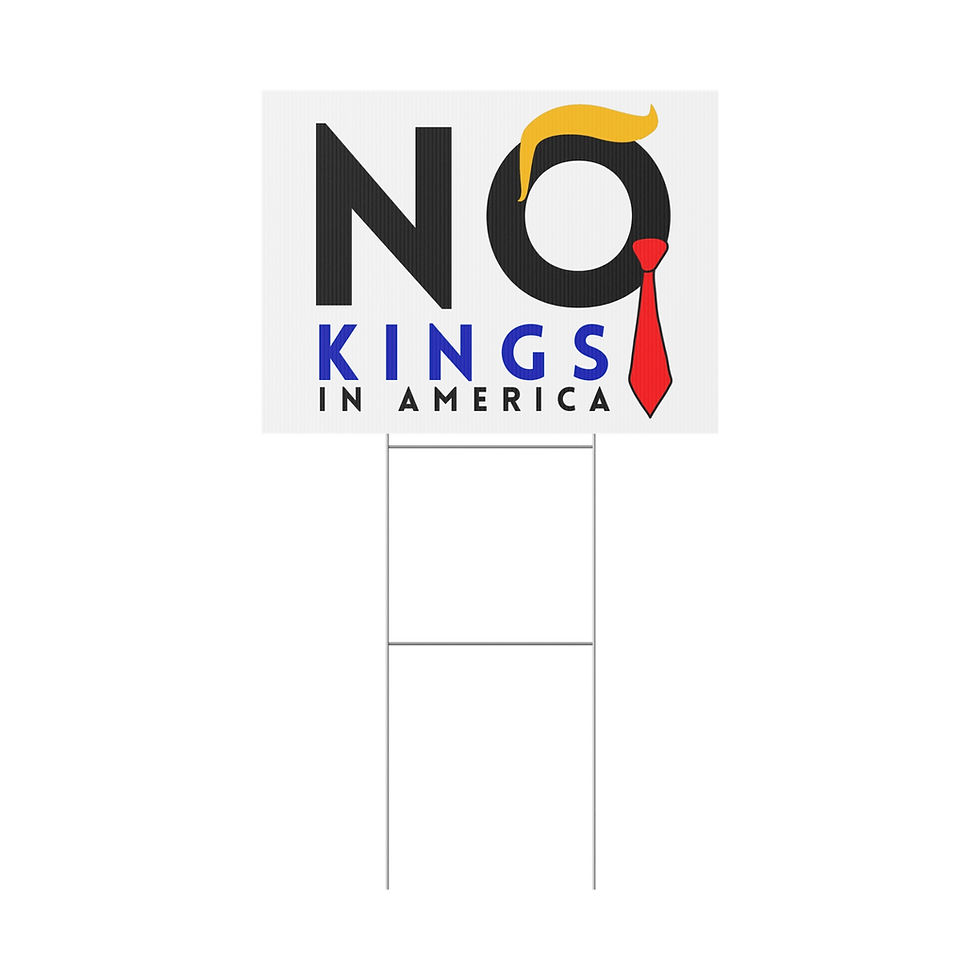 Thumbnail: no kings protest sign high contrast design