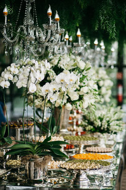 Casamento no Moress Fazenda