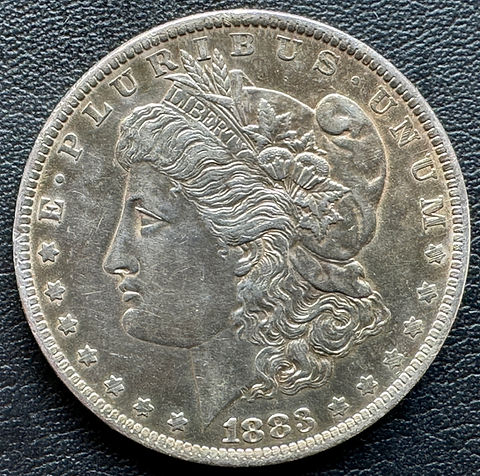 1883年アメリカ モルガンドル銀貨 | GoldSilverJapan