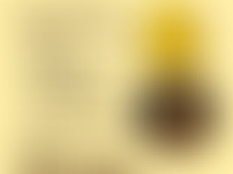 💰 Top 10 Most Expensive Coins Ever Sold at Auction