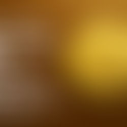 The China Panda Gold Coin: A Collector’s Favorite and Investor’s Global Gold Asset