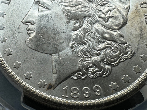 アメリカ モルガンダラー銀貨1899 O PCGS MS 63 | GoldSilverJapan