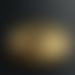 金貨の投資価値と選び方