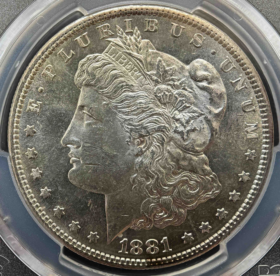 モルガンダラー 1880 1881年 USA 1ドル銀貨 モルガンダラー 1880年 Oマーク 未使用
