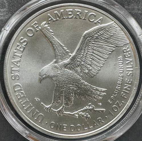 イーグル銀貨1oz 2021年 PCGS MS70 2021 $1 American Silver Eagle FIRST STRIKE MS-70 PCGS TYPE 2