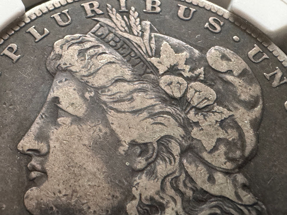 アメリカ モルガンダラー銀貨1883 S NGC F12