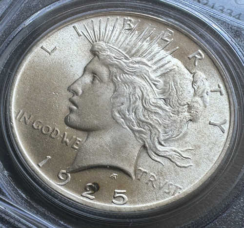 アメリカ ピースダラー銀貨1925 PCGS MS 64 | GoldSilverJapan