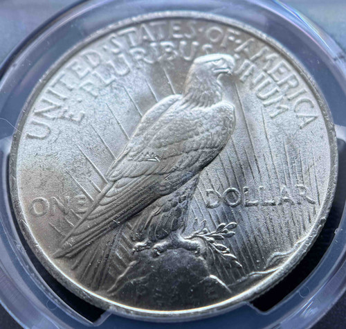 1923年 アメリカ ピースダラー 銀貨 PCGS認定 MS64 | GoldSilverJapan