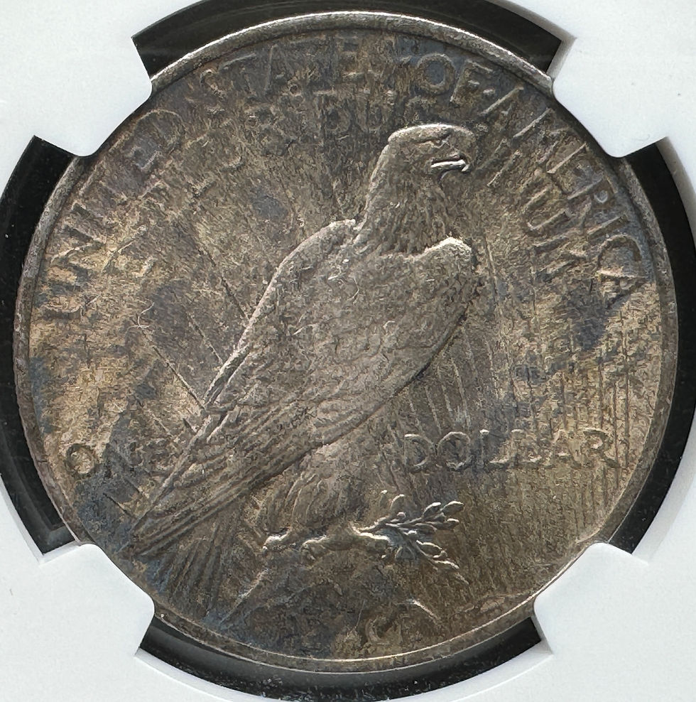 アメリカ ピースダラー銀貨1924 NGC MS 63 トーンコイン | GoldSilverJapan