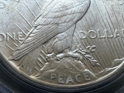 アメリカ ピースダラー銀貨1925 PCGS MS 64 | GoldSilverJapan