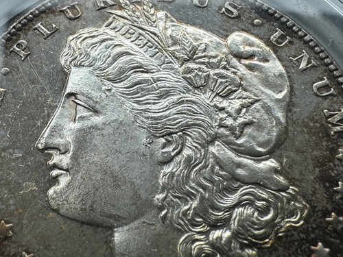 アメリカ モルガンダラー銀貨1878-s MS-64 PCGS トーンコイン