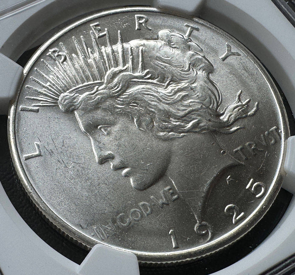 アメリカ ピースダラー銀貨1925 NGC MS 64 | GoldSilverJapan