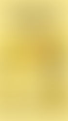 モンスターボックス(Monster Box)とは?金・銀投資における大口保有の新たなスタンダード