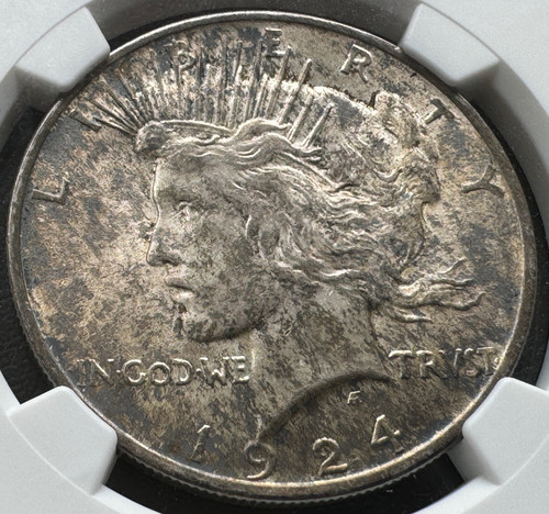 アメリカ ピースダラー銀貨1924 NGC MS 63 トーンコイン | GoldSilverJapan