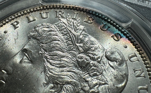 アメリカ モルガンダラー銀貨1886 MS-65 PCGS | GoldSilverJapan