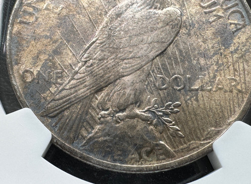 1924 ピースダラー PCGS MS63 銀貨 アメリカ ピースダラー銀貨1924 NGC MS 63 トーンコイン | GoldSilverJapan